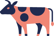 Нестероидные: корова